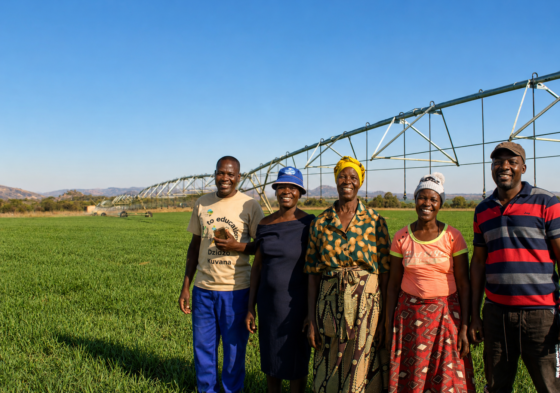 Agriculture in Marondera